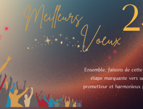 Meilleurs voeux 2026